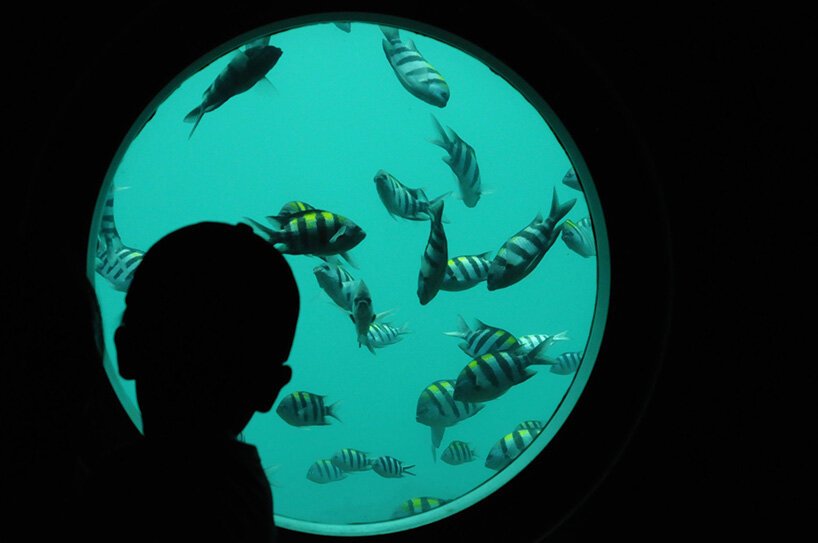 🐠 천연 뮤지엄・아시즈리 해저관(덴넨 뮤지아무・아시즈리 카이테이칸)